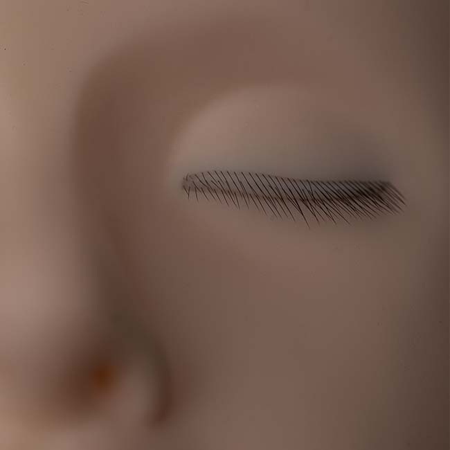 Nahaufnahme eines Übungskpfes für Wimpernstylisten. Es sind 3 Wimpernreihen zu sehen